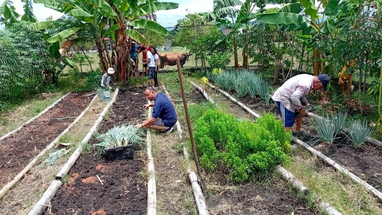 Huerta y eco-granja de Fundación Lagom