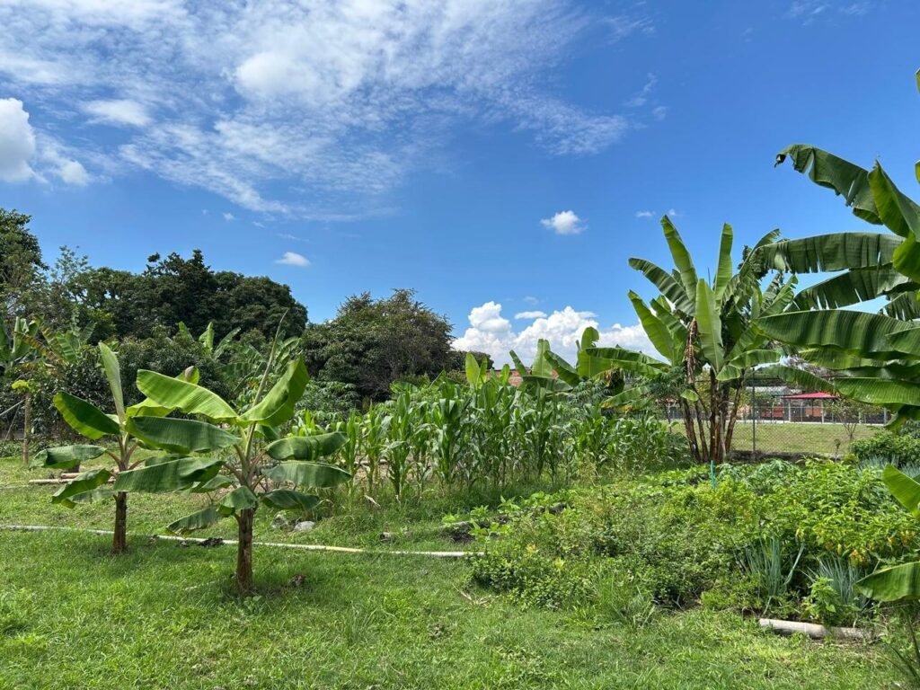 Entorno natural en el Valle del Cauca