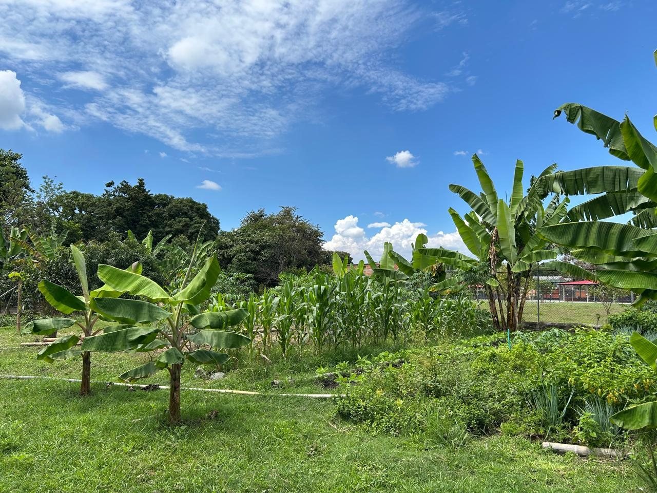 Entorno natural en el Valle del Cauca